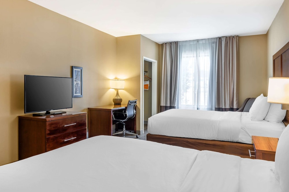 Comfort Inn & Suites At Crossplex Village 14/50