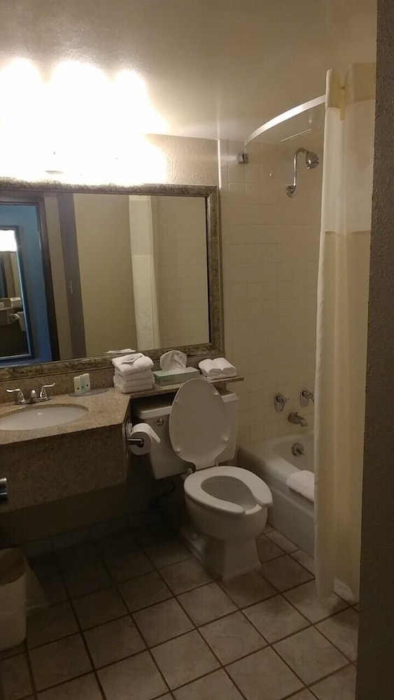 Quality Inn & Suites Livonia - Detroit 15/38