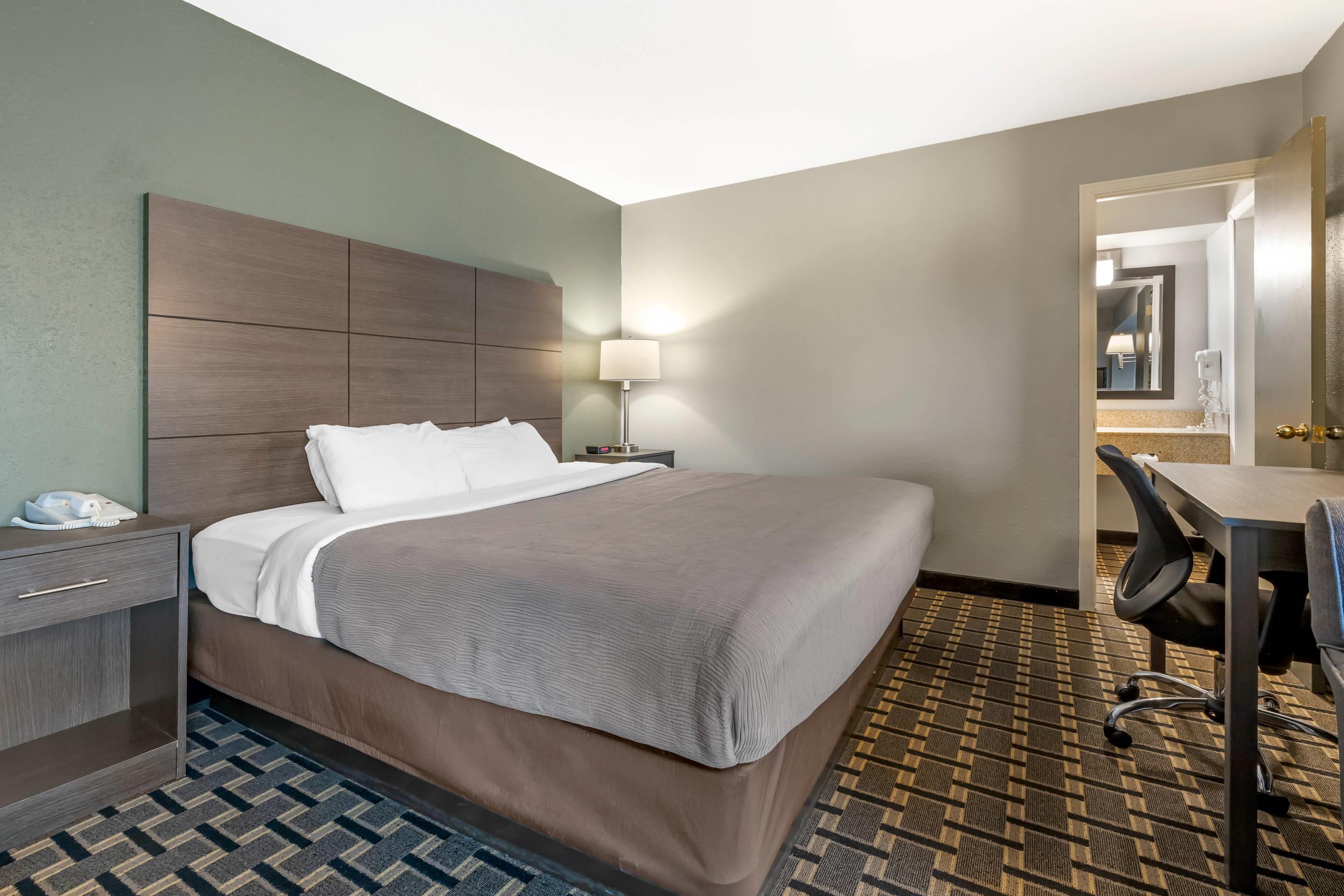 Suite, King Bed