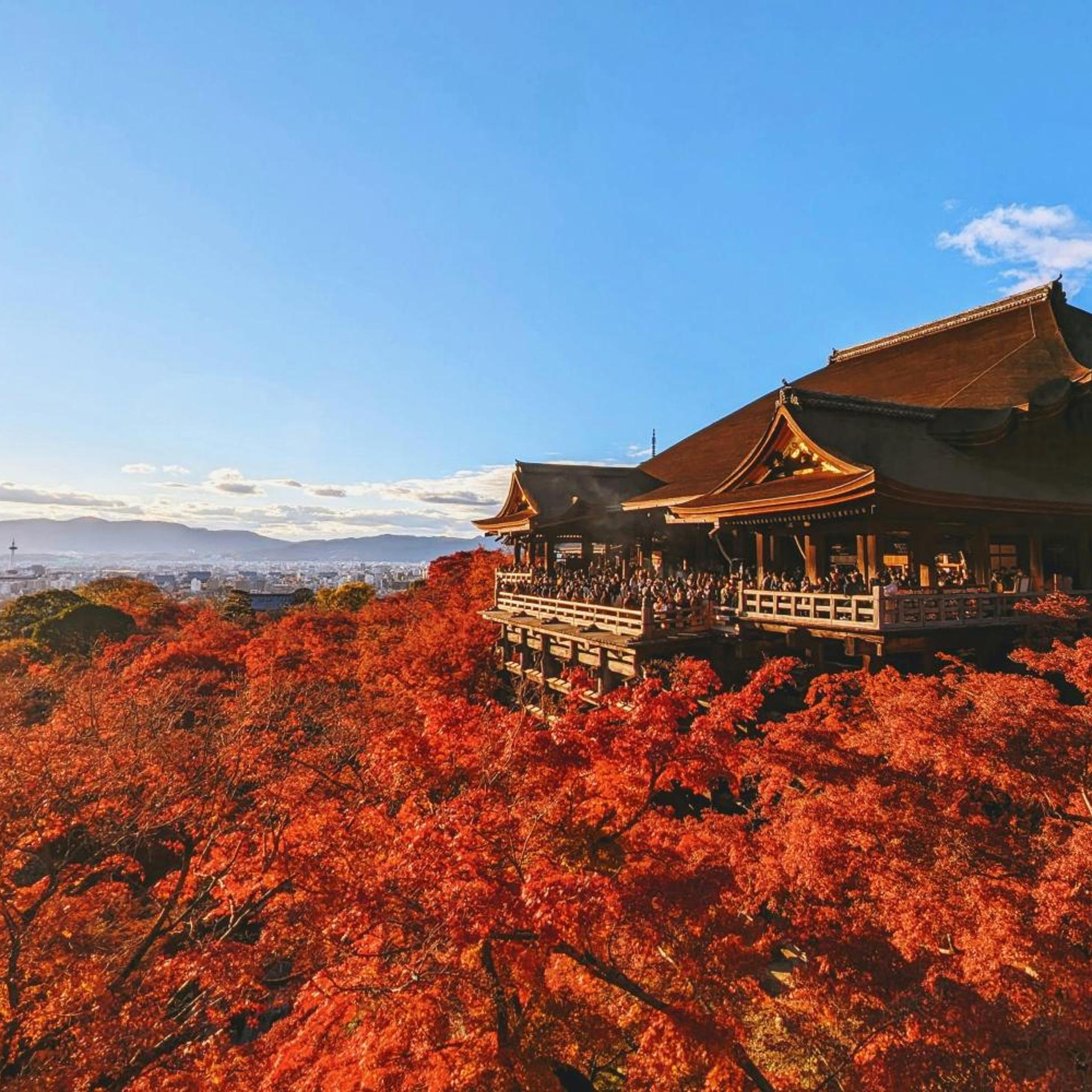Soyo-ne kyoto sanjo 45/47