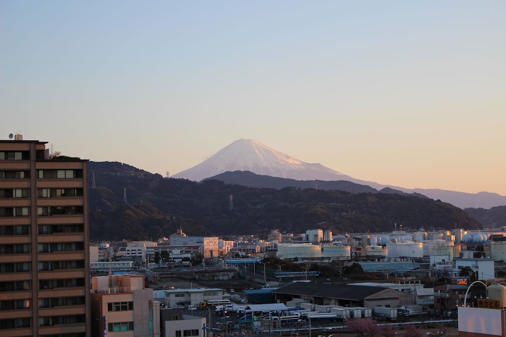 Seagrande Shimizu Station Hotel 54/57