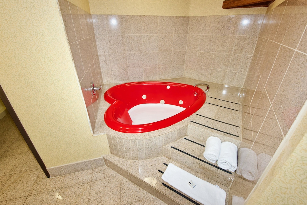 Holiday Inn Express Suites St Louis West Fenton 44/65