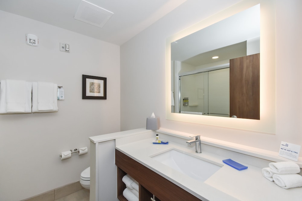 Holiday Inn Express & Suites Charlotte Ballantyne 12/46
