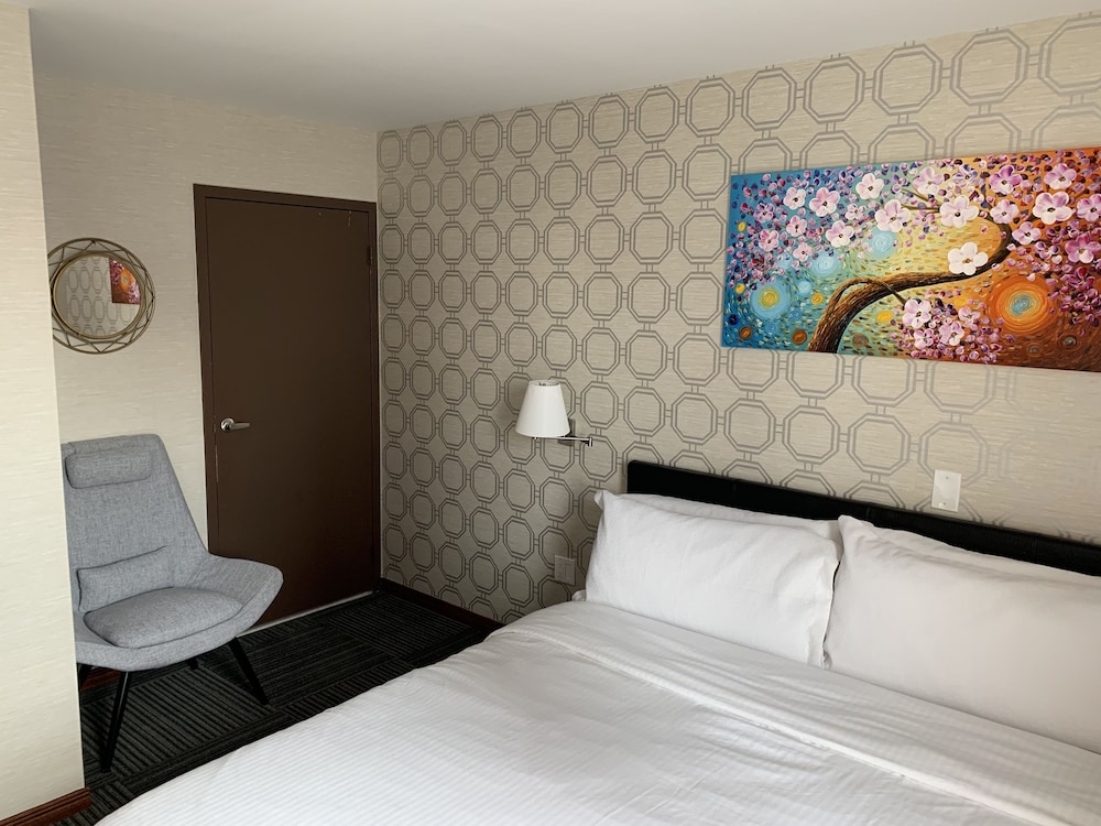 Hotel Mimosa 17/37