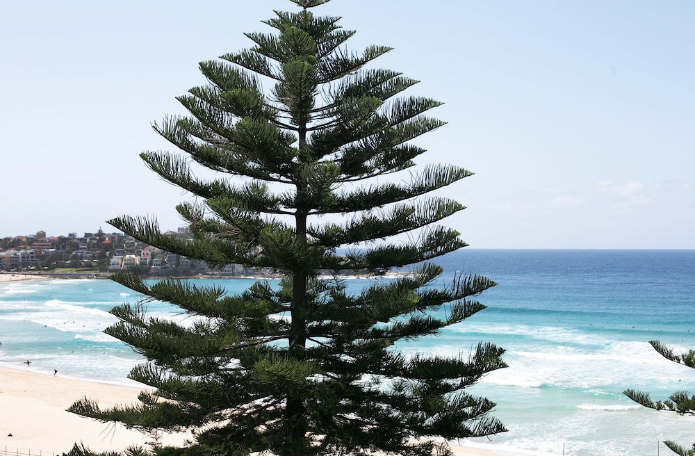 Bondi 38 Serviced Apartments 19/59