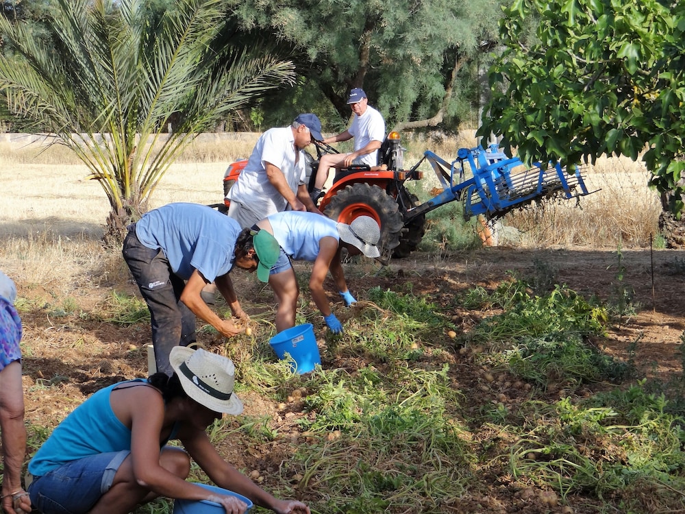 Can Canals Finca 23/72