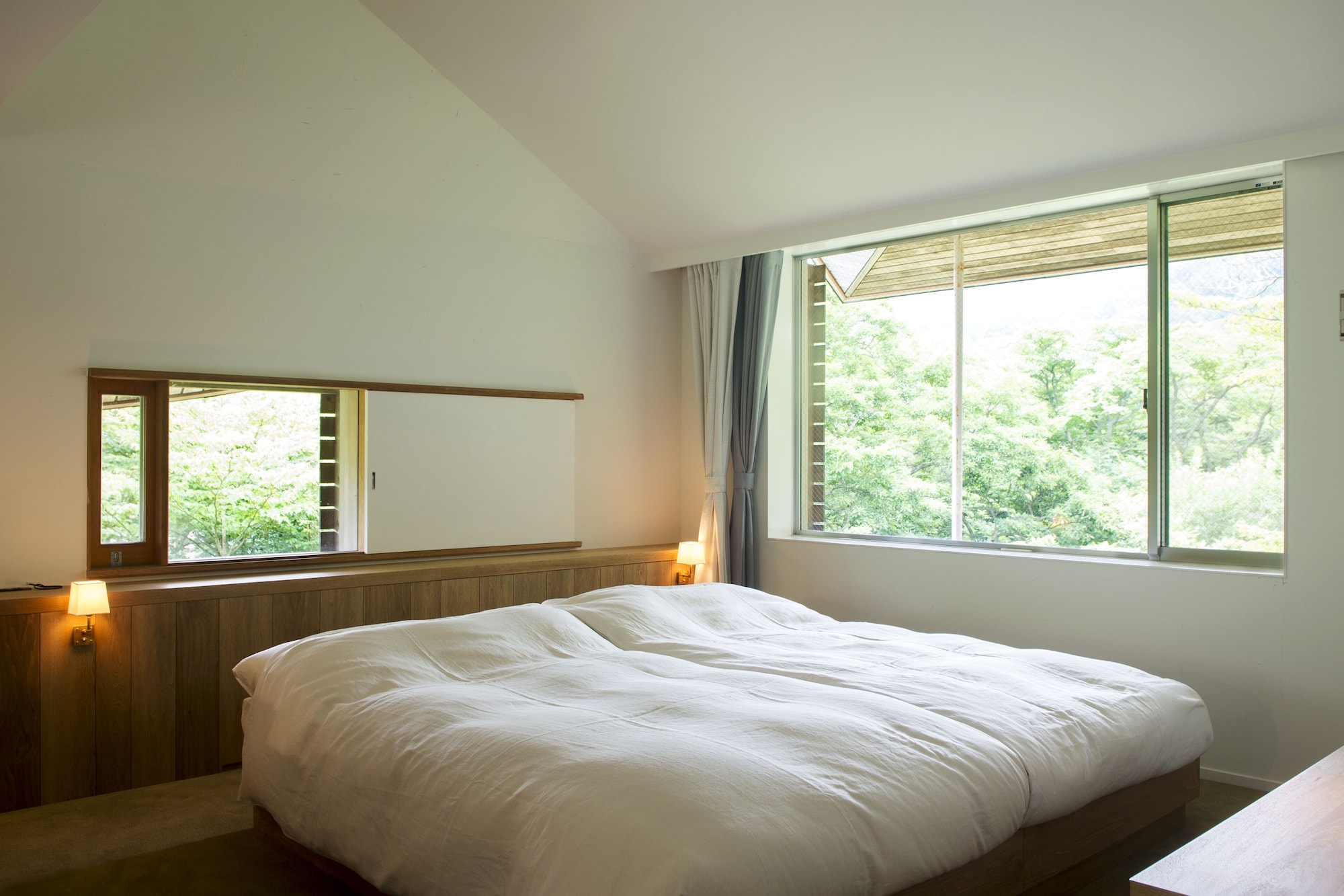 SUITE, TERRACE