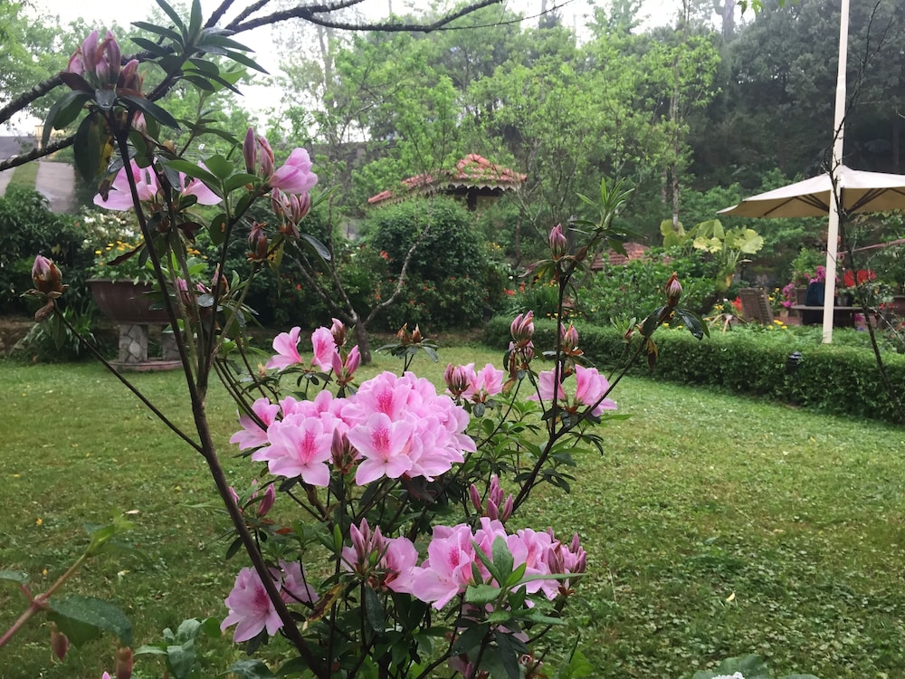 Sapa Garden Bed and Breakfast 51/73