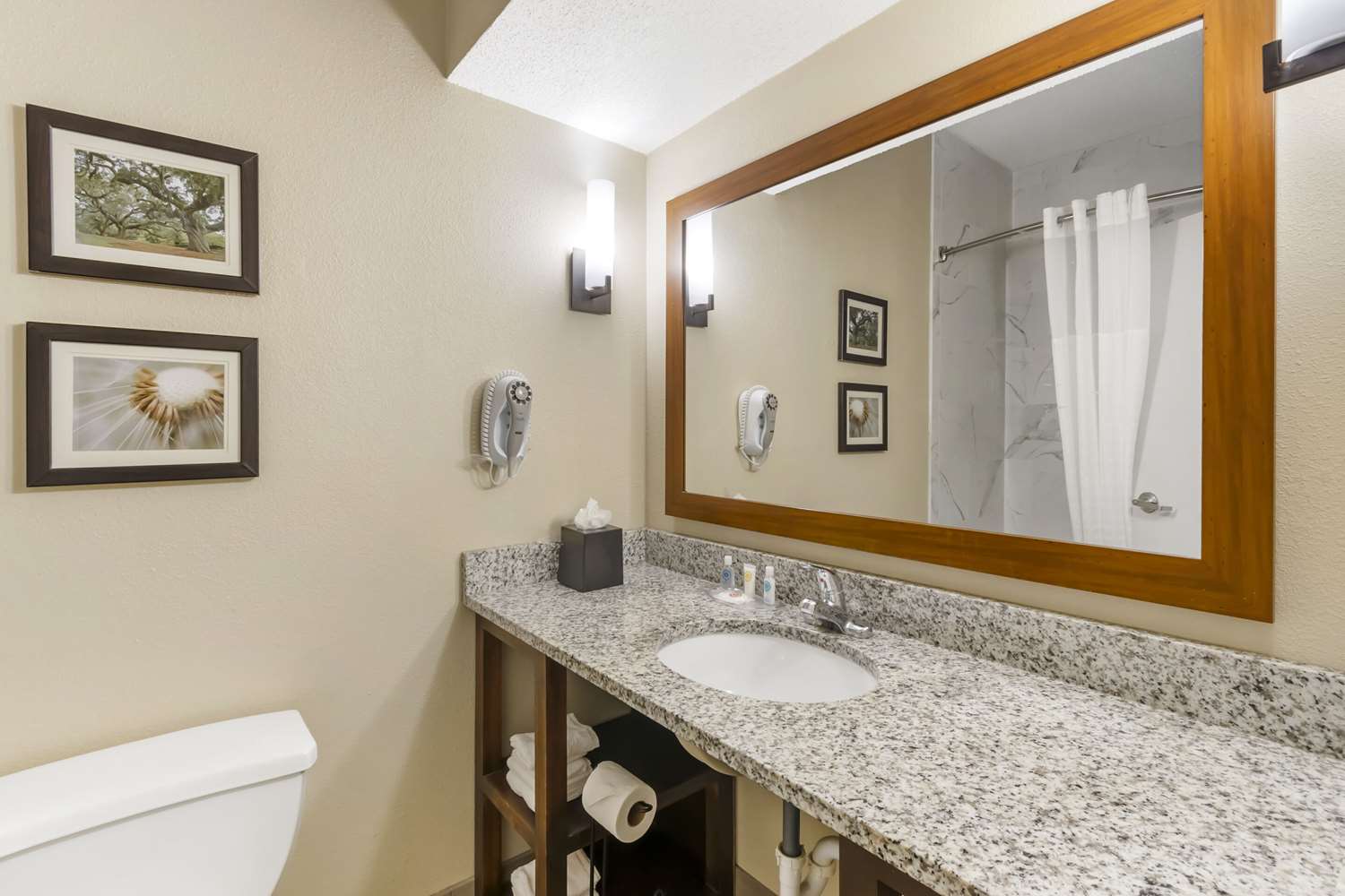 Comfort Suites At The University 14/14