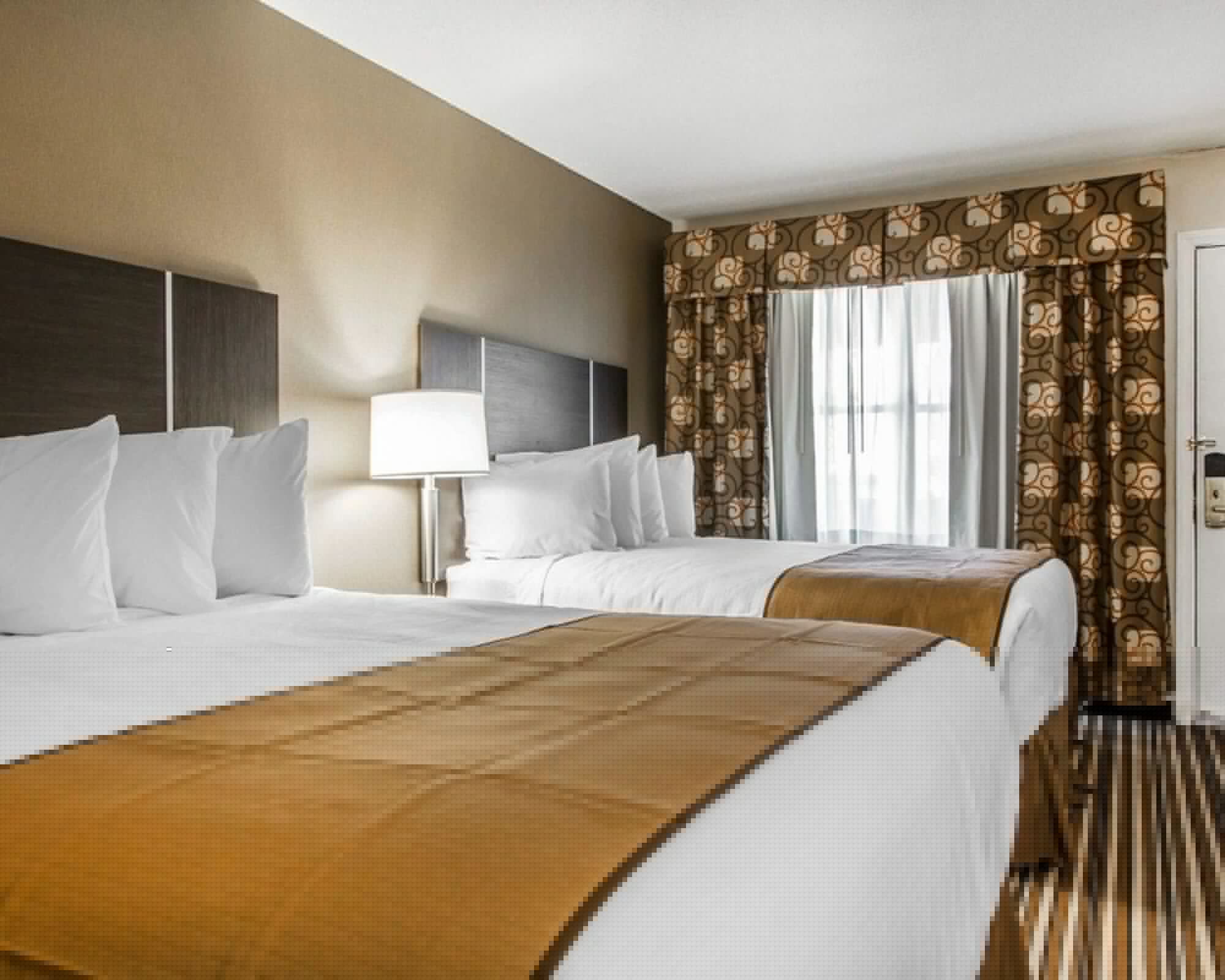 Efficiency, Suite, 2 Queen Beds, Sofa