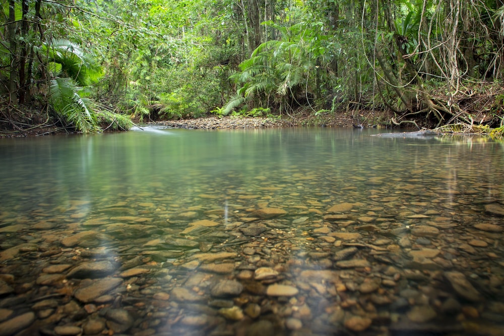 Daintree Wilderness Lodge 21/34