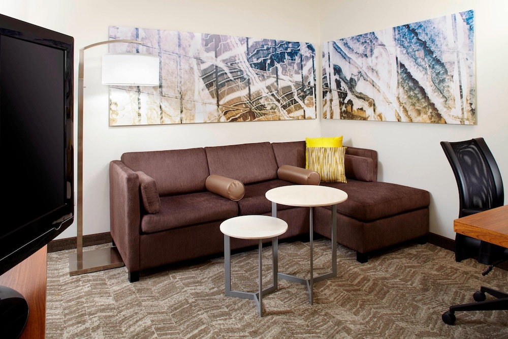 Springhill Suites Houston Intercontinental Airport 24/51