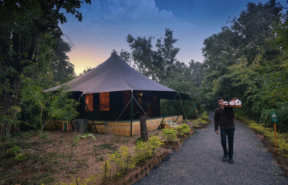 Pench Jungle Camp 7/71