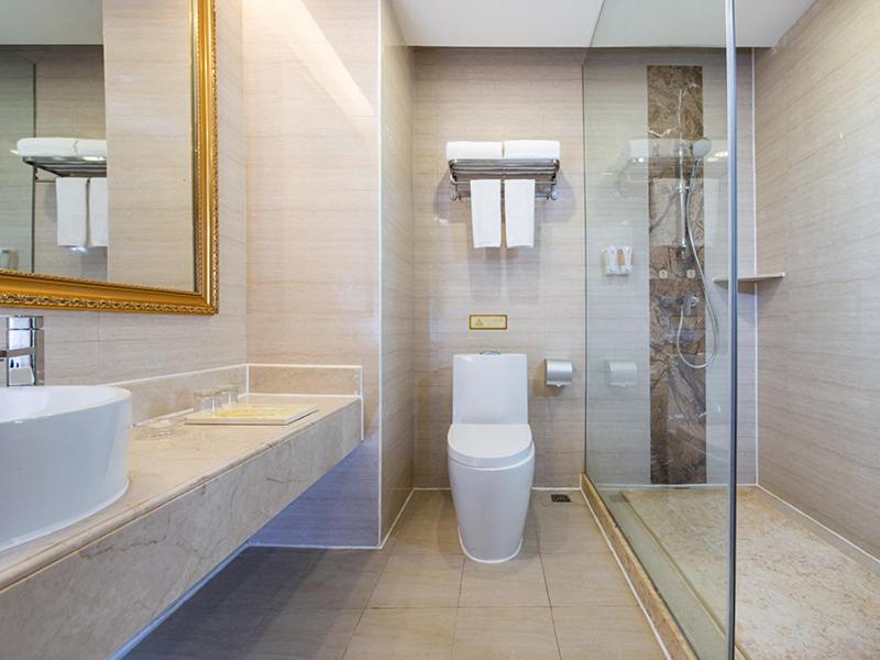 Vienna Hotel (Guangzhou Panyu Changlong & Jinjiang Avenue) 55/55