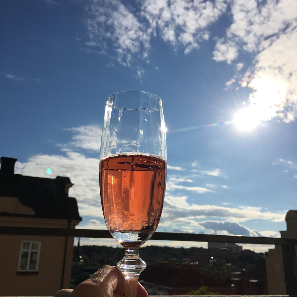 Hotell Torpa Pensionat Sweden Hotels 12/50