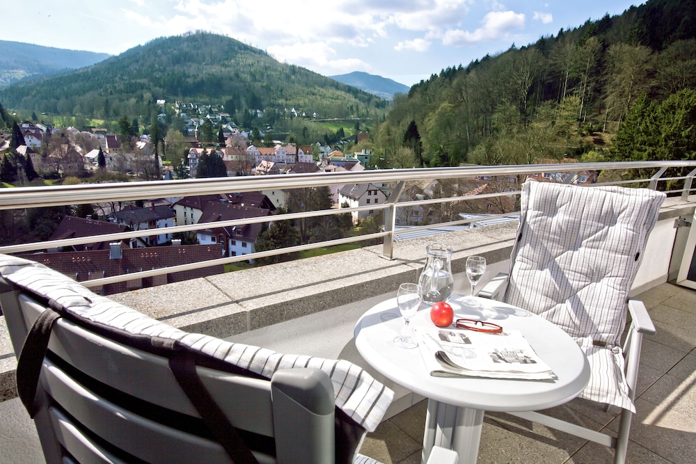 Schwarzwald Panorama 6/50