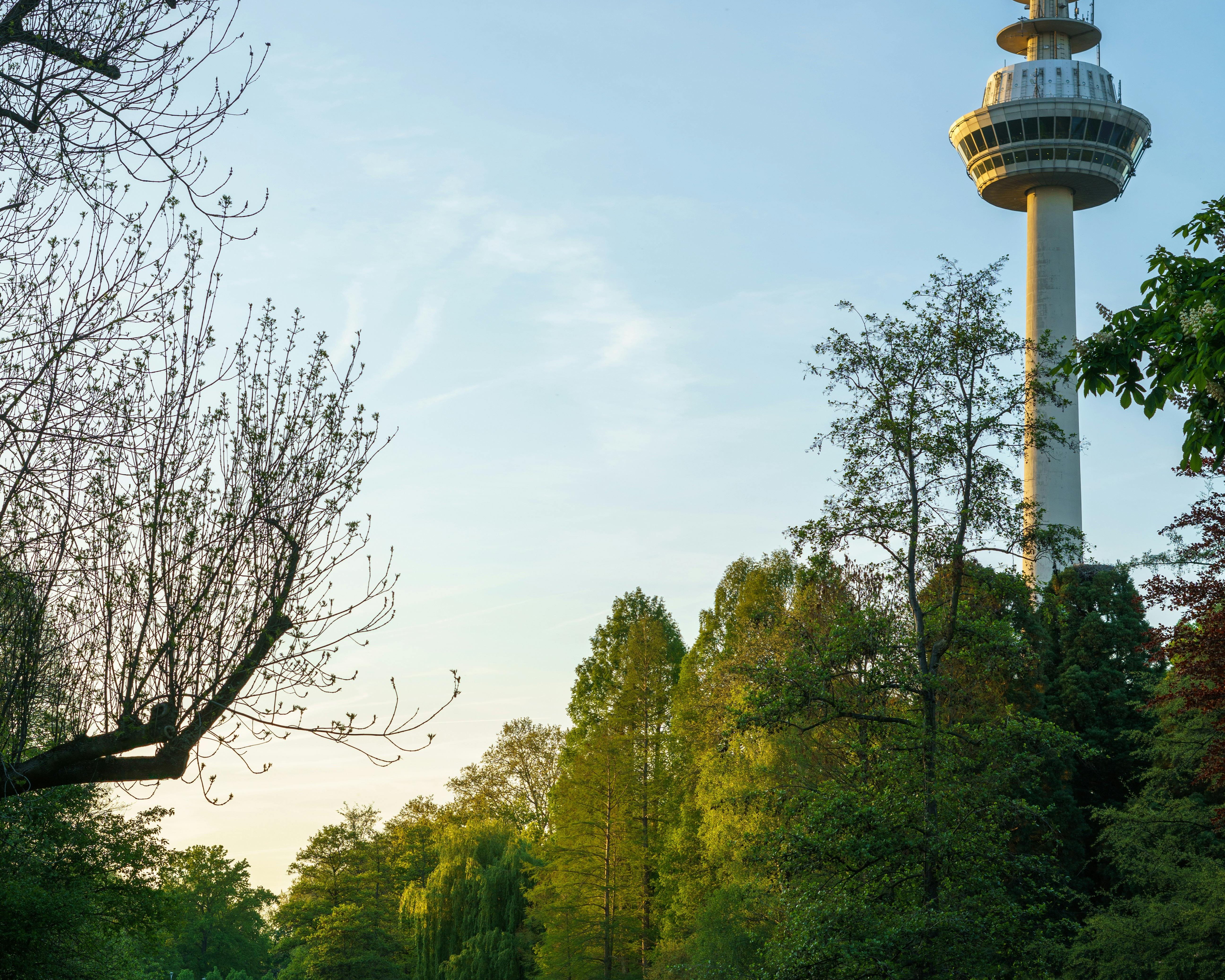 Garner Hotel Mannheim City by IHG 40/44