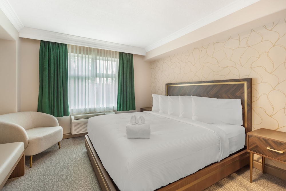 Efficiency, King Bed