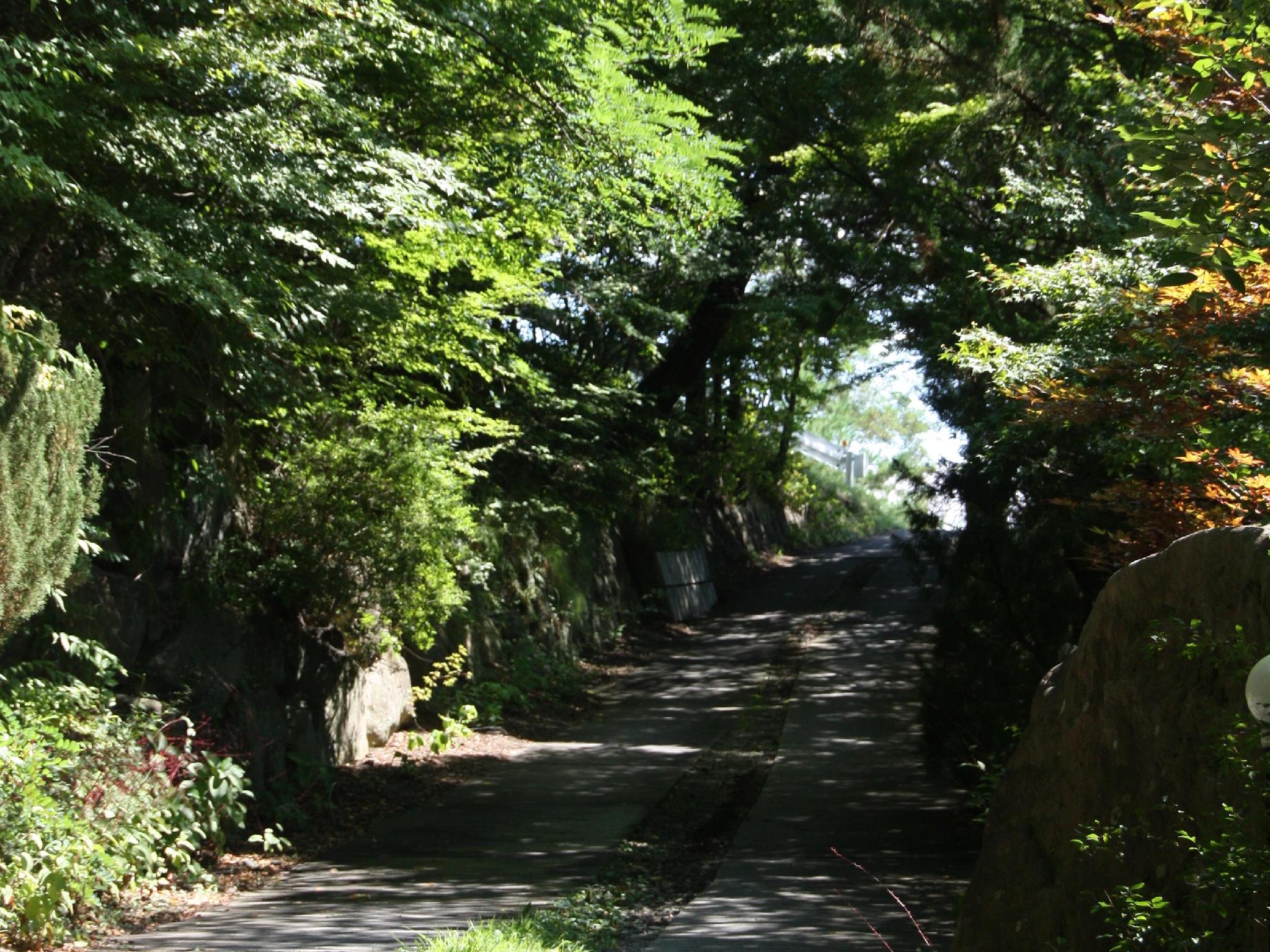 Nakadanaso 39/45