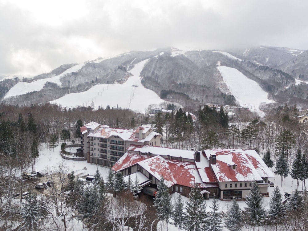 Hakuba Tokyu Hotel 25/50