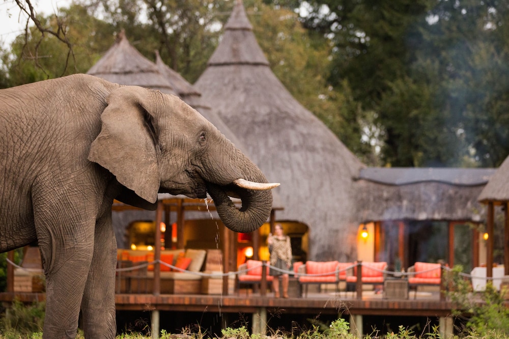 Hoyo-Hoyo Tsonga Lodge 15/68