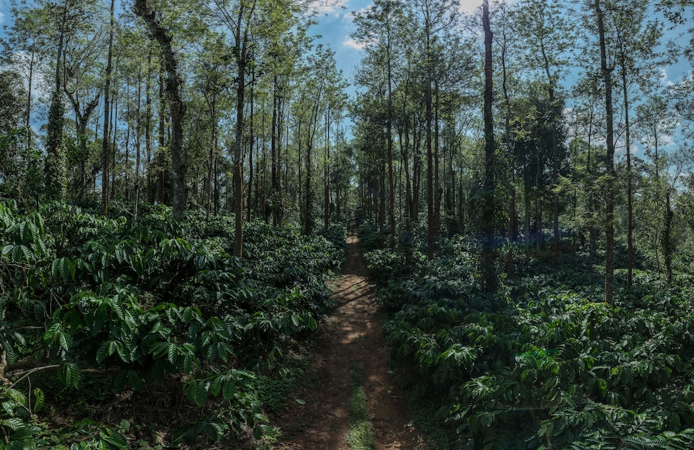 Club Mahindra Virajpet 69/74