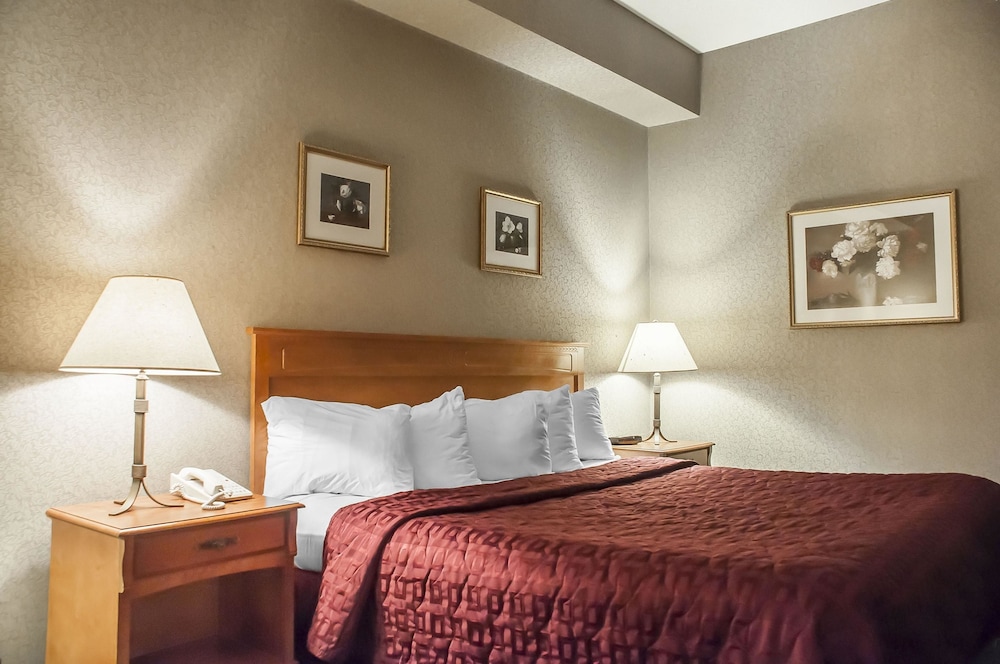 Comfort Inn Lundy's Lane 18/40