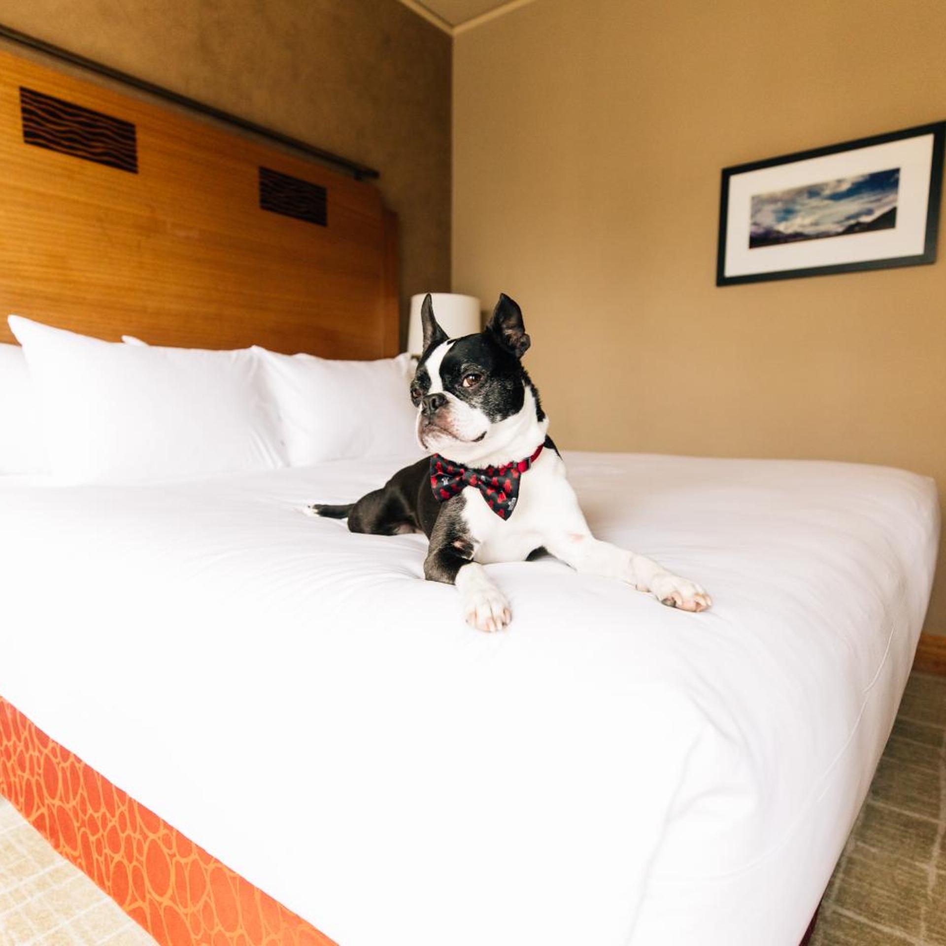 غرفة بسرير مزدوج، Grand Hyatt Seattle 3/5