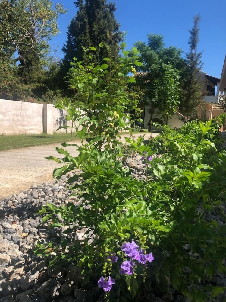 Folies Corfu Hotel Apartments 34/50