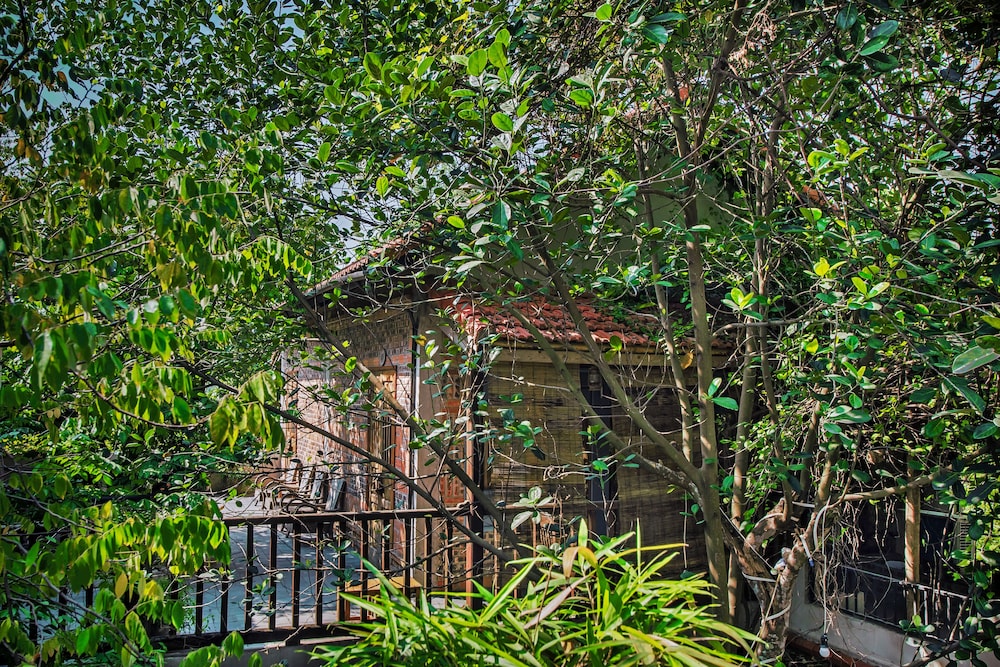 Little Tam Coc 42/50