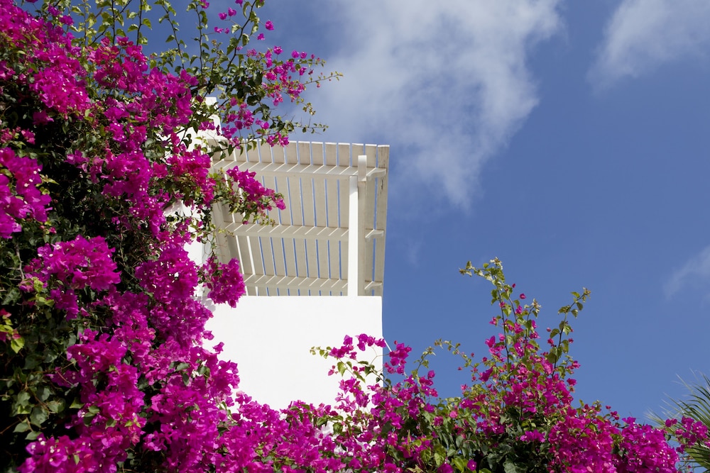 Meli Meli Santorini 5/49