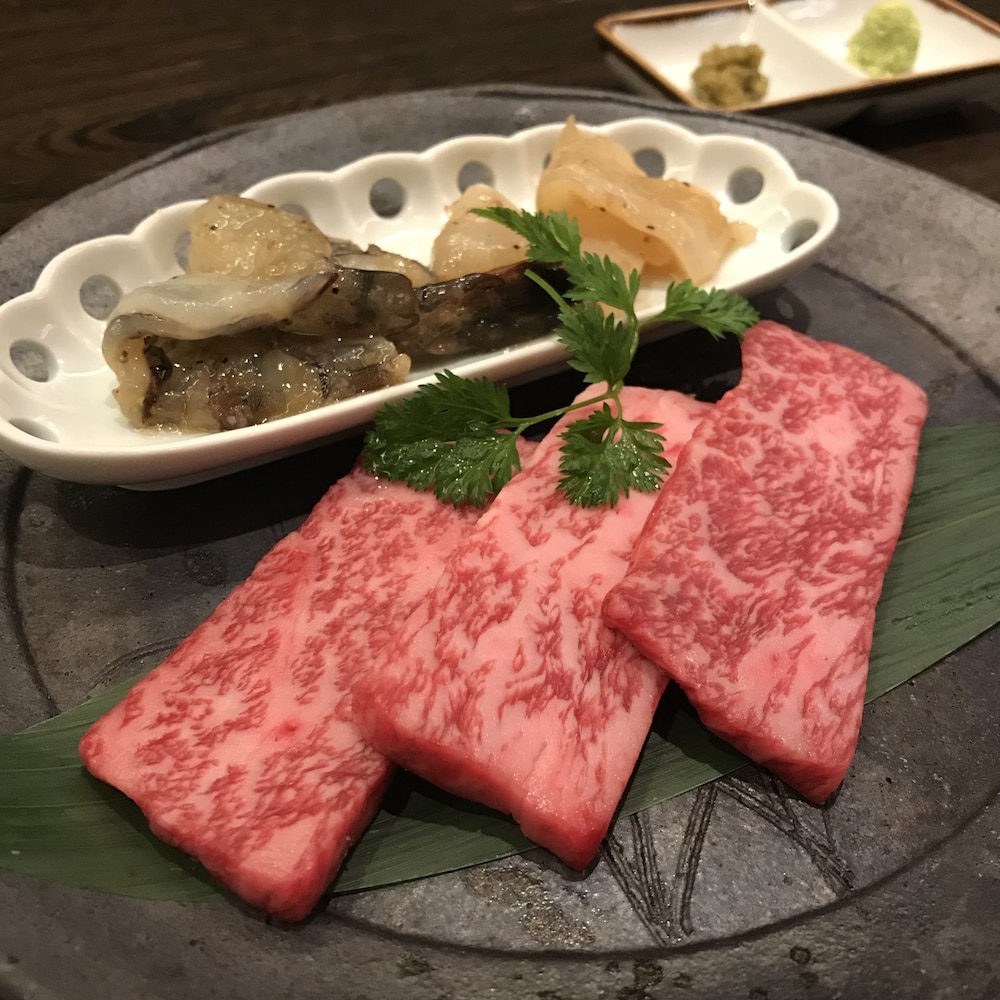 Chikurakan 20/66