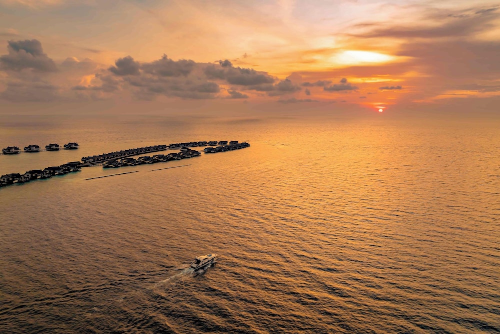 Ozen Reserve Bolifushi 133/136