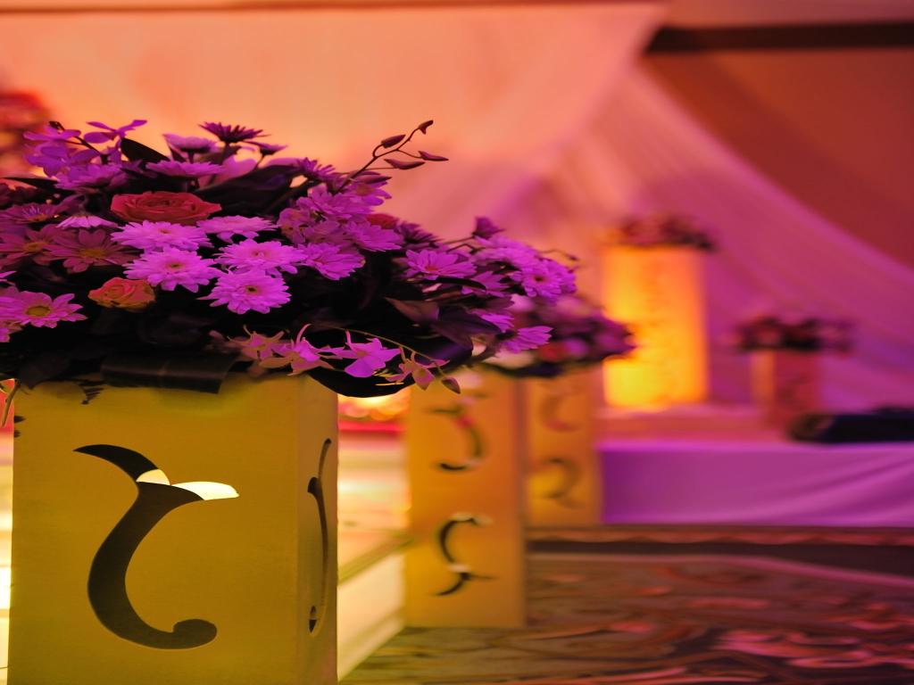 فندق قصر أبها(Abha Palace Hotel) 25/43