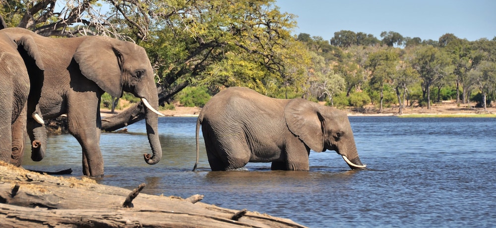 Thebe River Safaris 23/31