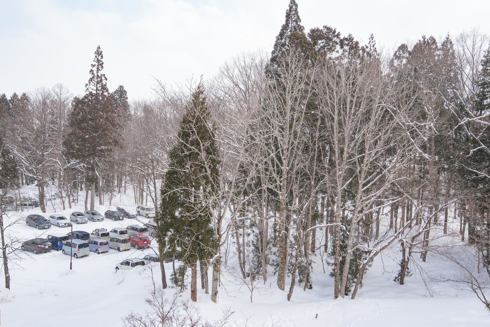 Hakuba Tokyu Hotel 43/50