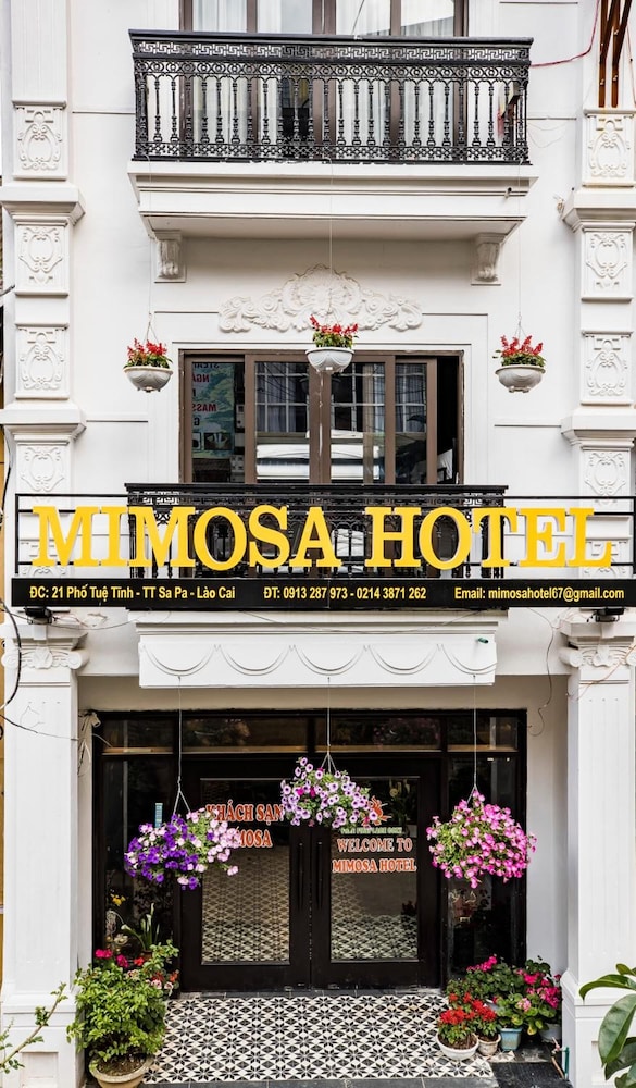 Sapa Mimosa酒店(Sapa Mimosa Hotel) 图片3