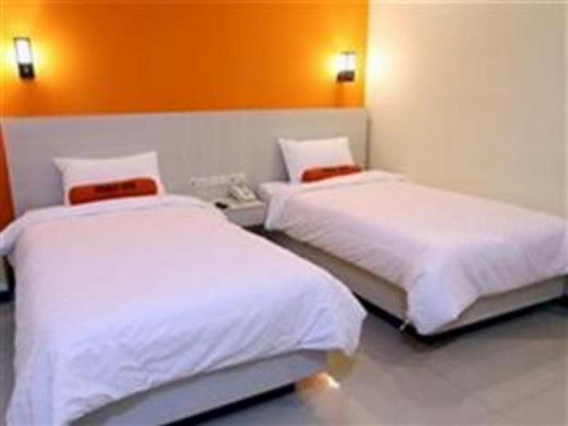 Halogen Hotel 6/20