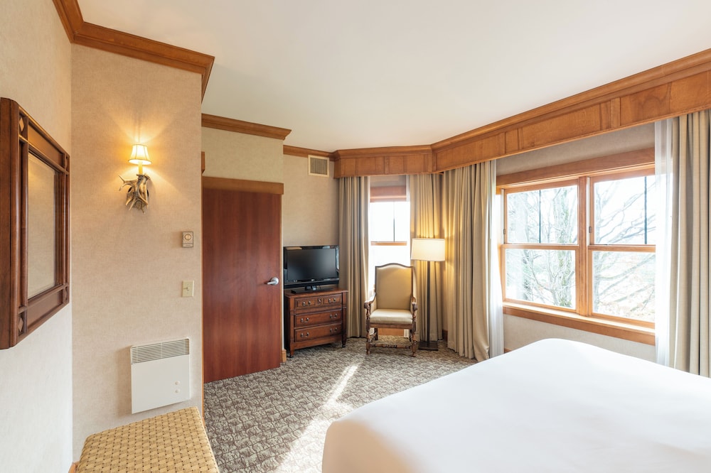 Premium, Suite, King Bed, Queen Murphy Bed, Sofa, Kitchenette