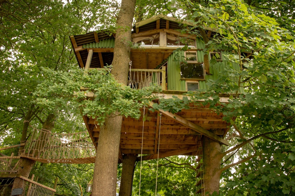 Owl Lodge 5/50