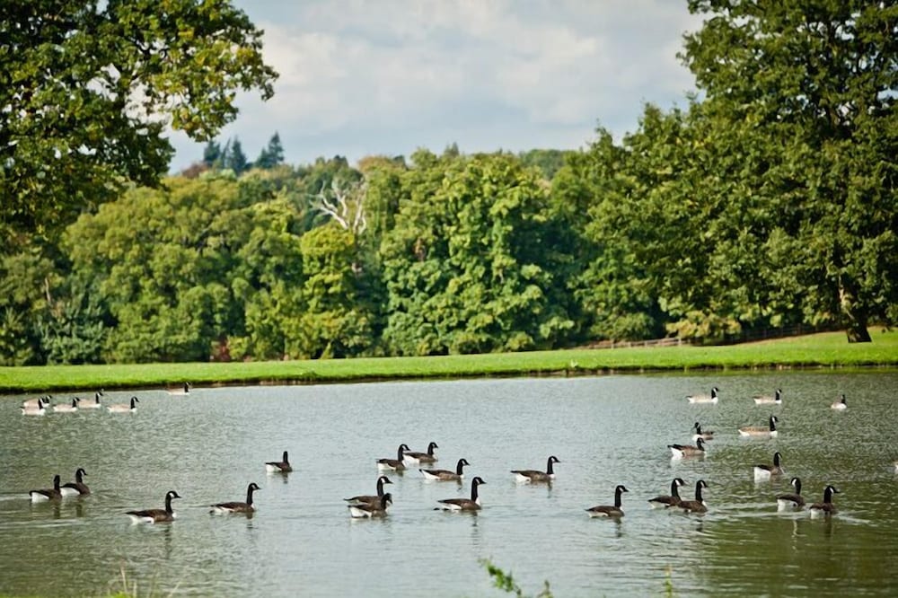 Coworth Park Dorchester Collection 71/77