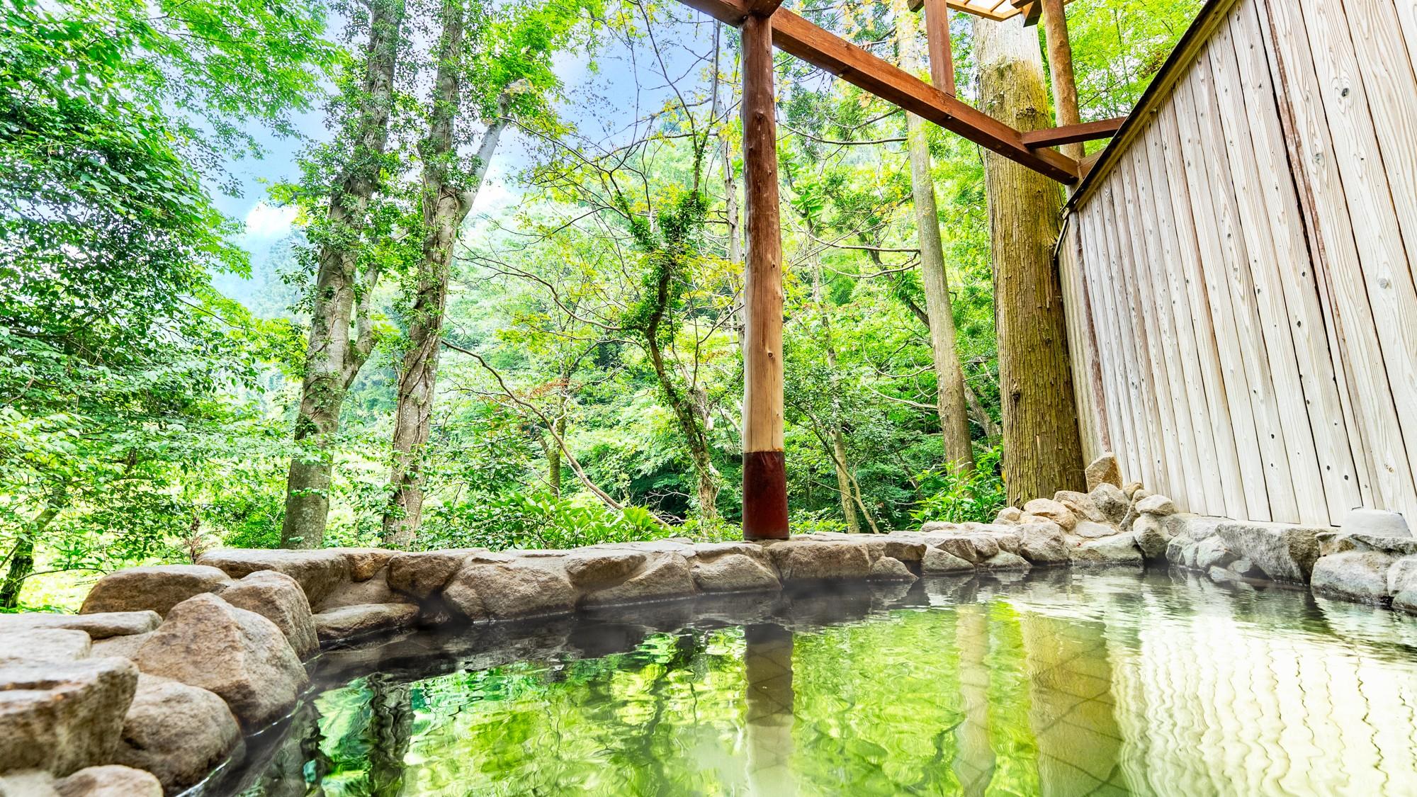 Japanese Western, Suite, Outdoor Bath, Main Building
