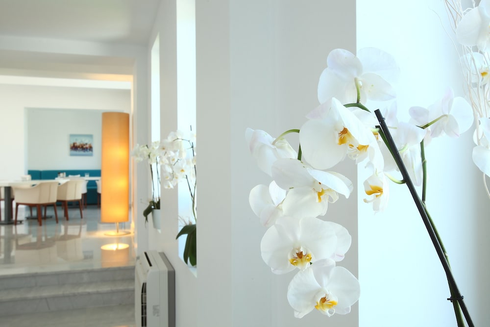 Saraya Bodrum 12/68
