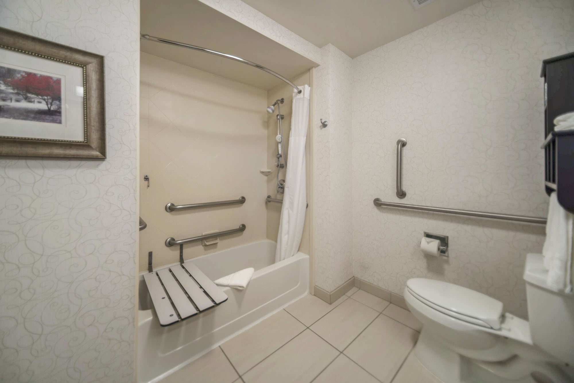 Studio, King Bed, Accessible