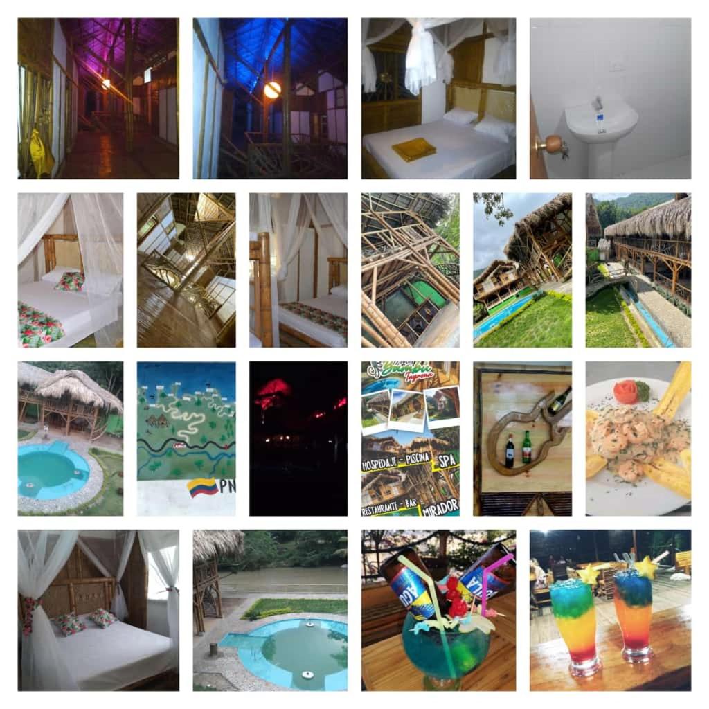 Hotel Bambu Tayrona 18/48