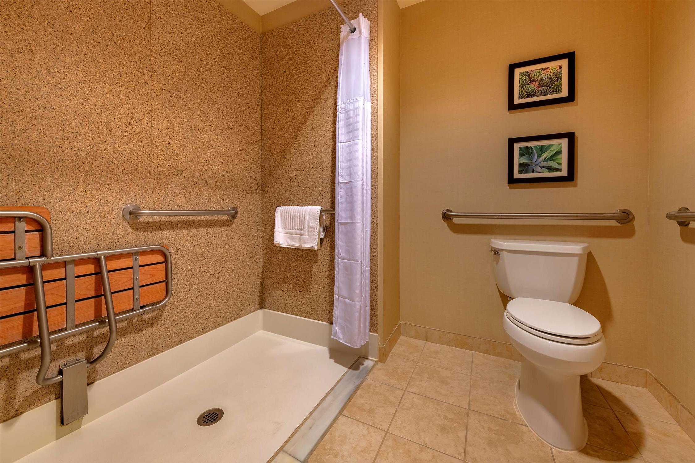 Comfort Suites Goodyear West Phoenix 33/33