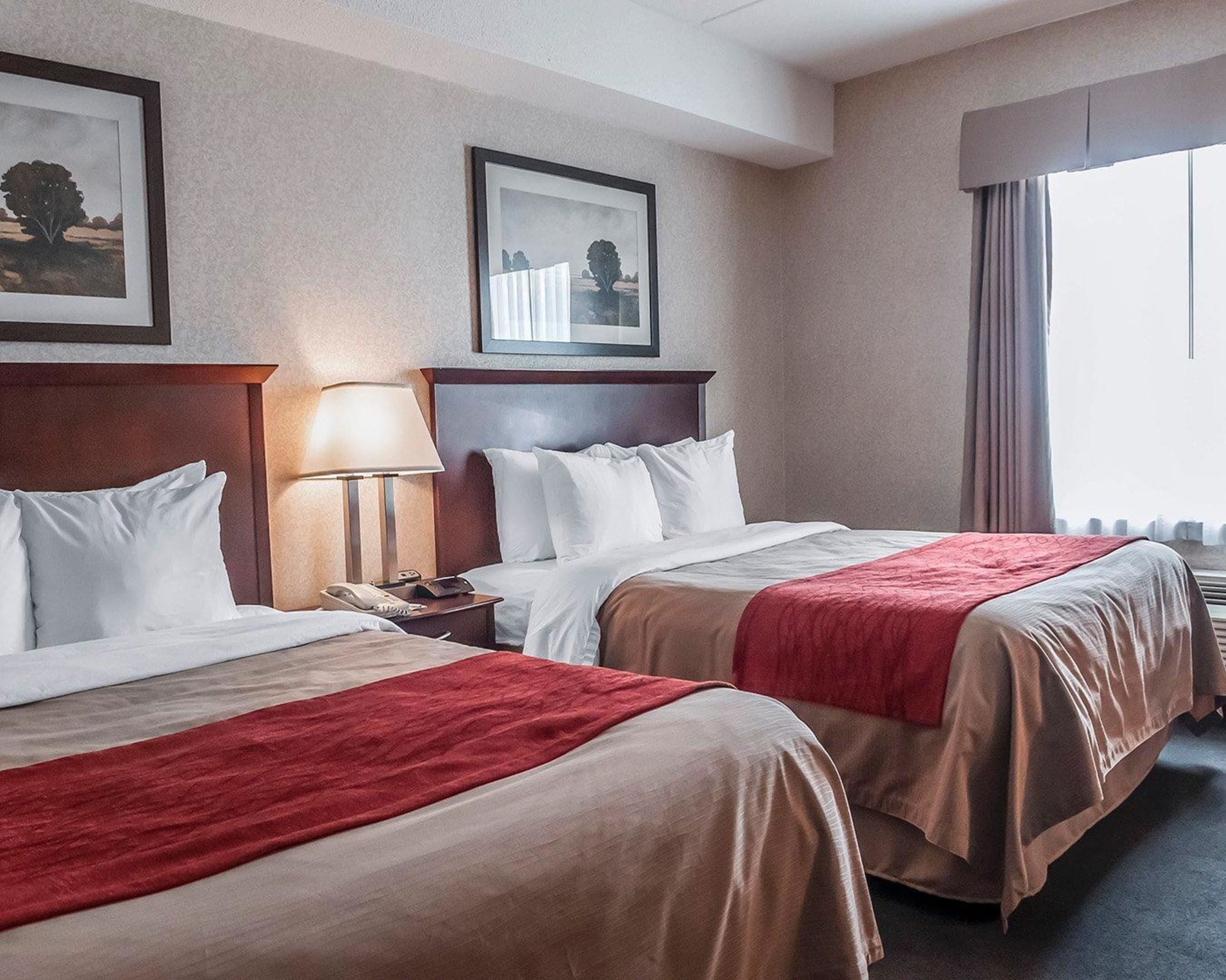 STANDARD, 2 QUEEN BEDS