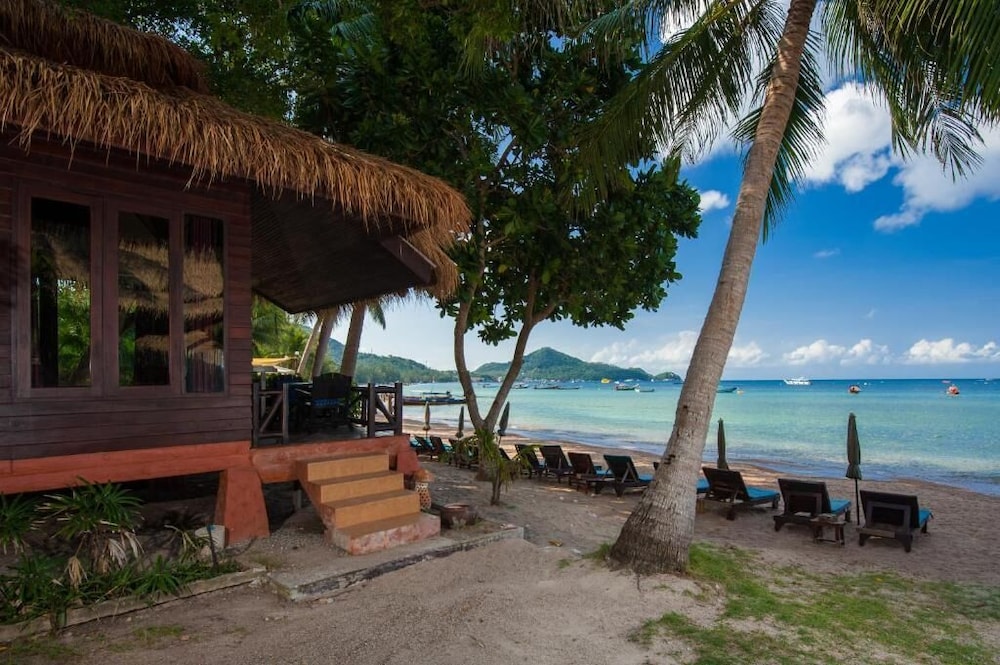 Palm Leaf Resort 7/54