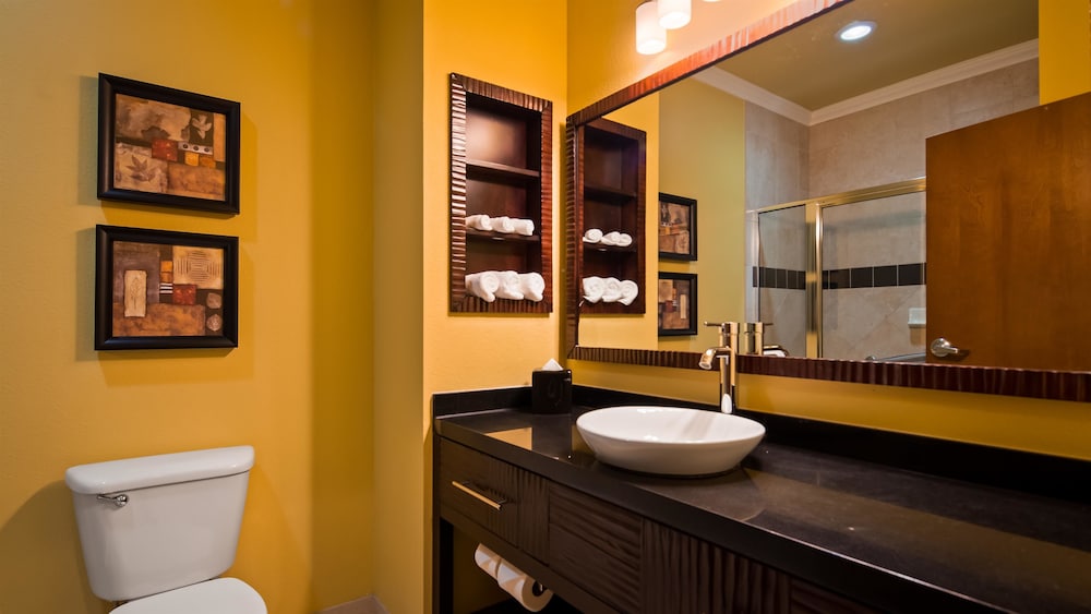 Best Western Plus Christopher Inn & Suites 14/32