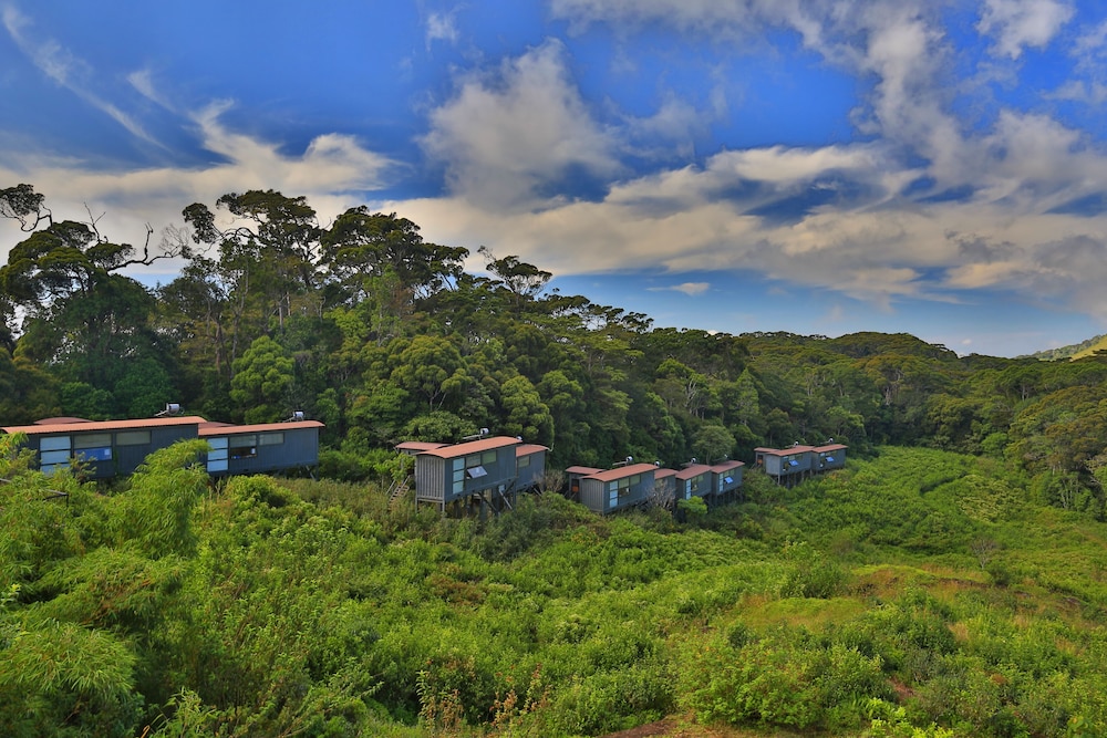 Rainforest Eco Lodge 29/41